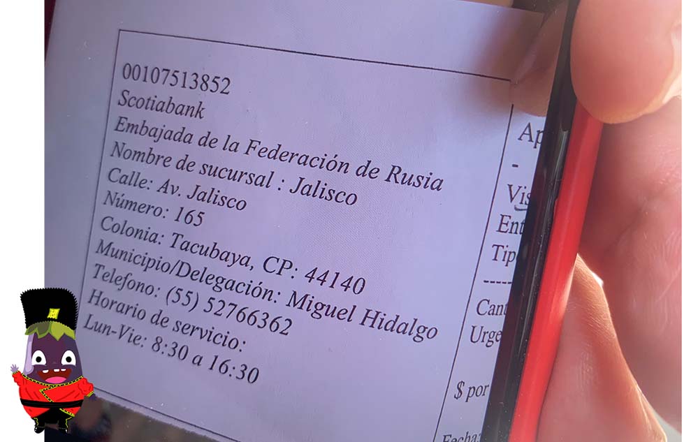 cuentas de banco de la visa rusa en la Embajada de Rusia en México