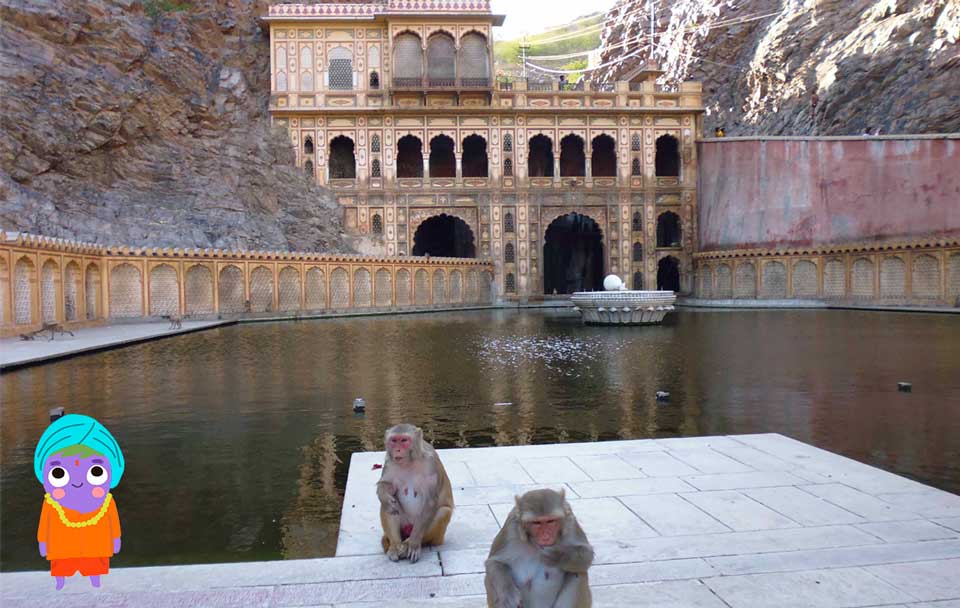 templo de los monos jaipur