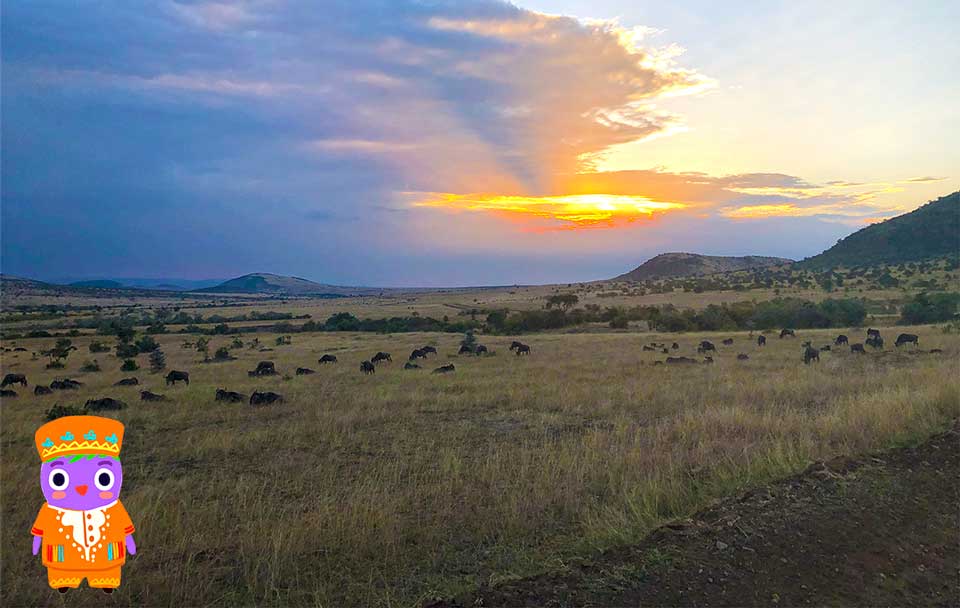 safari en kenia