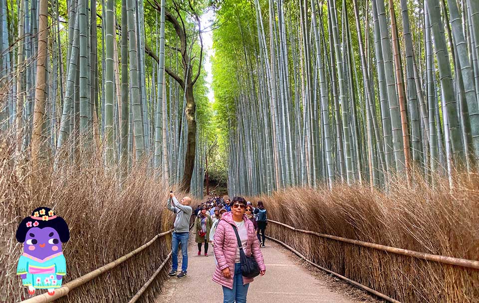 bosque de bambu arashiyama en kioto