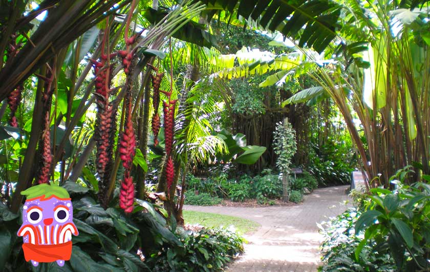 Jardin Botanico de Cairns australia