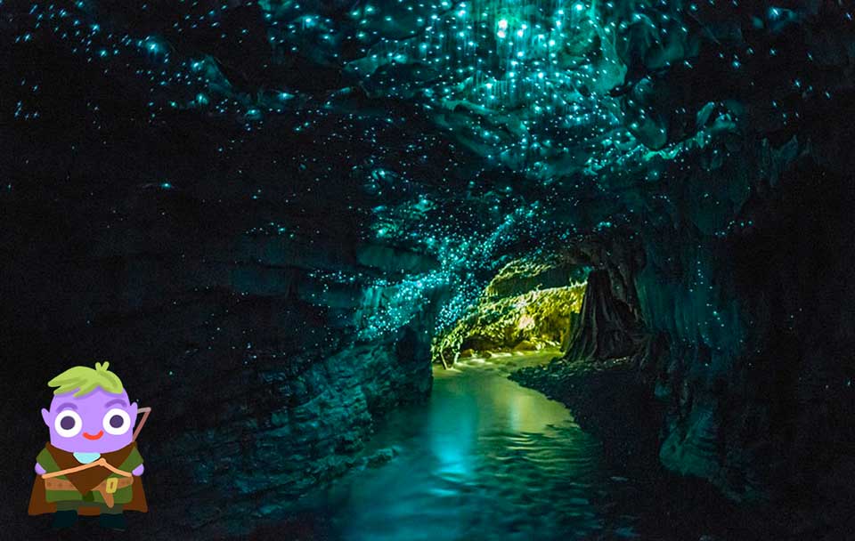 Waitomo Caves
