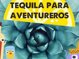 Viaje a Tequila México - Disfruta del Tequila, la bebida más famosa de México