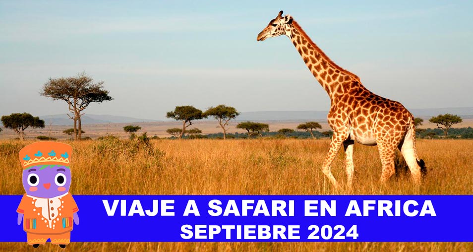 Estos son los mejores destinos para un safari en Sudáfrica - Foto 1